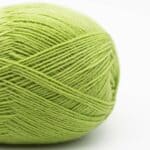 Edelweiss CLASSIC 4fach 100g non-superwash Frühlingsgrün - Kremke Soul Wool